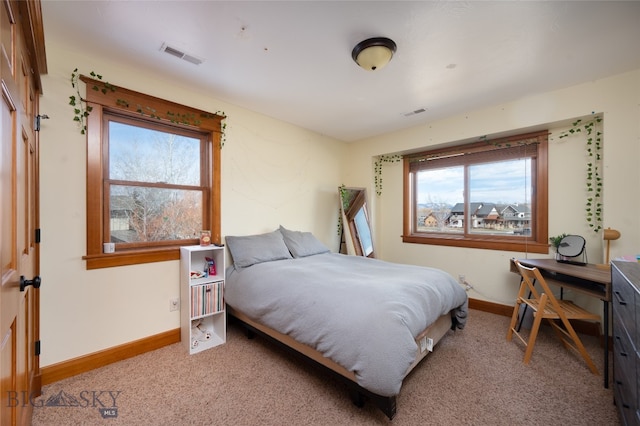 bedroom with carpet