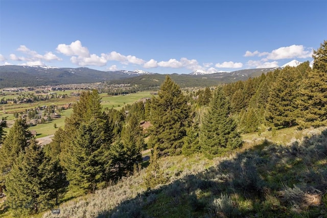 LOT10 Two Gun White Calf, Big Sky, MT 59716 - photo 3