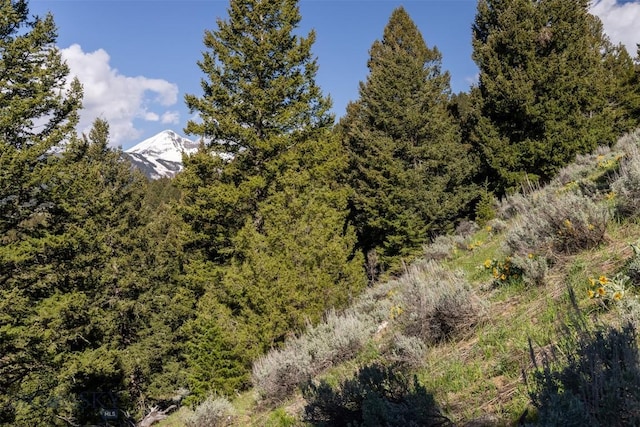 LOT10 Two Gun White Calf, Big Sky, MT 59716 - photo 4