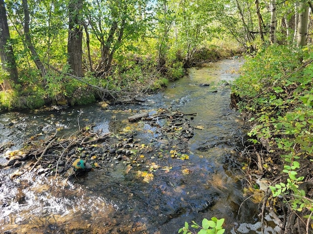 NHN Hyalite Canyon Rd, Bozeman MT, 59715 land for sale