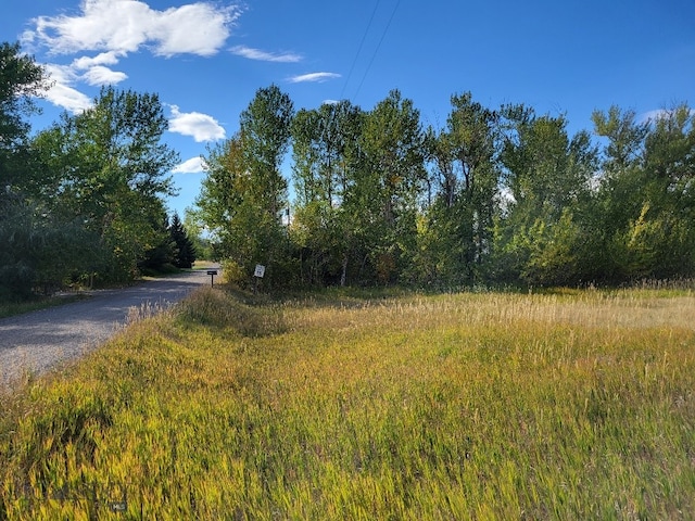 Listing photo 3 for NHN Hyalite Canyon Rd, Bozeman MT 59715