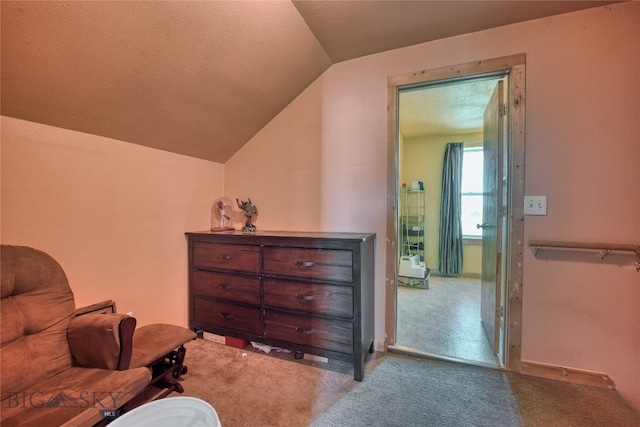 interior space with lofted ceiling, carpet, and a textured ceiling