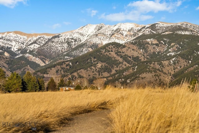 LOT28 Cold Smoke Dr, Bozeman, MT 59715 - photo 44