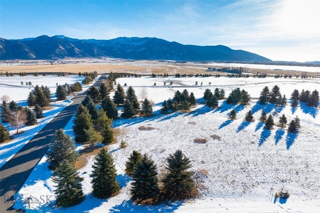 TBD Bridger Lake Dr, Bozeman, MT 59715 - photo 17