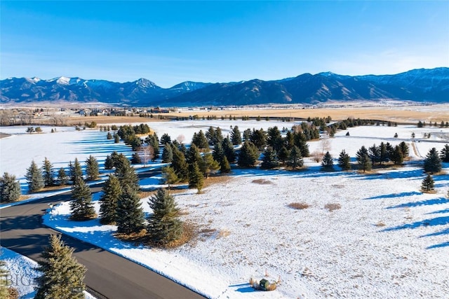 TBD Bridger Lake Dr, Bozeman, MT 59715 - photo 11