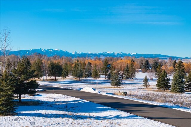 TBD Bridger Lake Dr, Bozeman, MT 59715 - photo 8