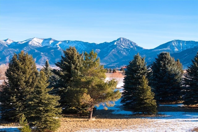 TBD Bridger Lake Dr, Bozeman MT, 59715 land for sale