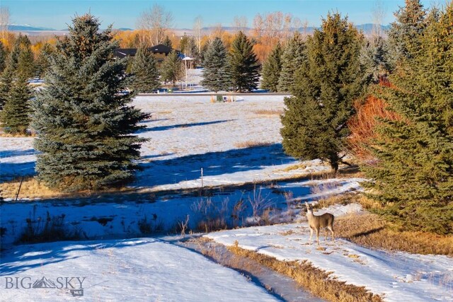 TBD Bridger Lake Dr, Bozeman, MT 59715 - photo 24
