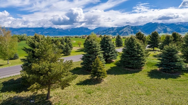 TBD Bridger Lake Dr, Bozeman, MT 59715 - photo 12