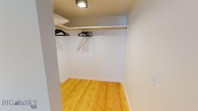 walk in closet featuring light hardwood / wood-style floors