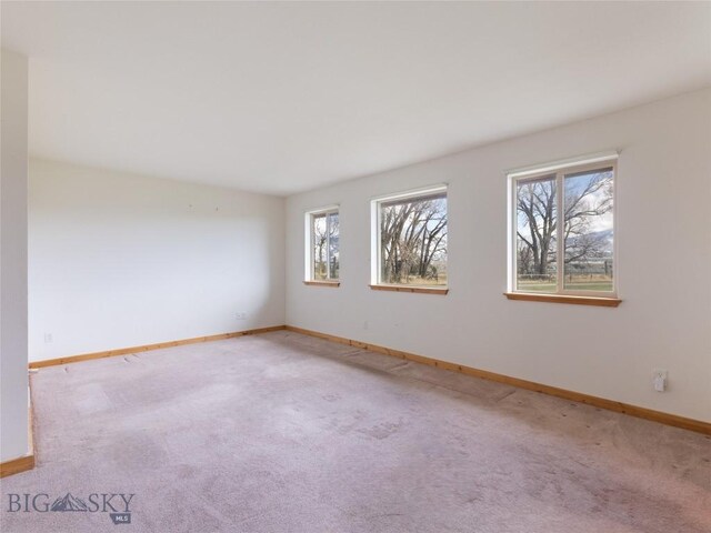 spare room featuring light carpet