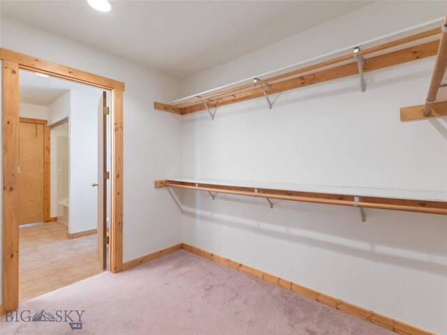 spacious closet featuring light carpet