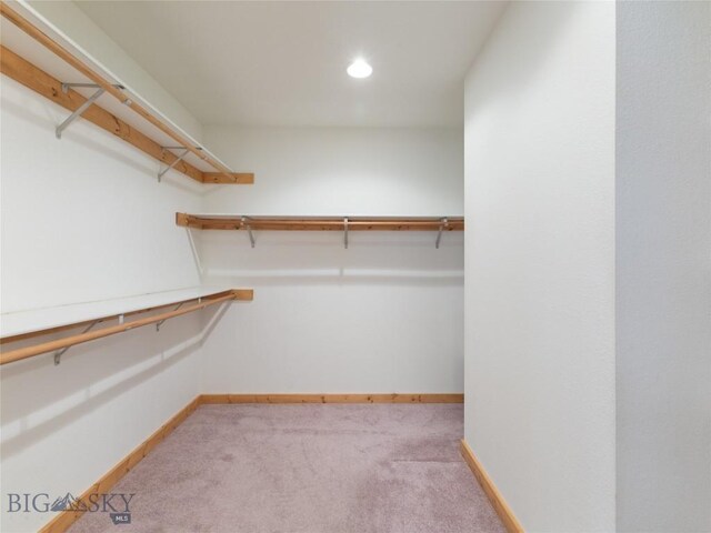 walk in closet featuring light carpet