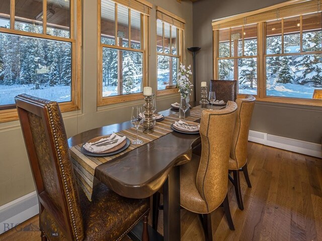 dining space with radiator heating unit, a wealth of natural light, a baseboard heating unit, and hardwood / wood-style floors