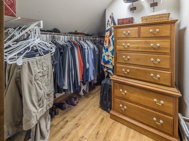 walk in closet with light wood-type flooring