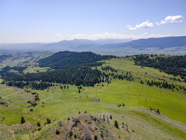 view of mountain feature