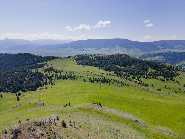 72 Sky Band Trl, Livingston, MT 59047 - view of mountain background