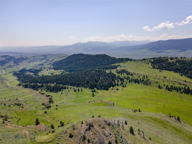 mountain view featuring a rural view