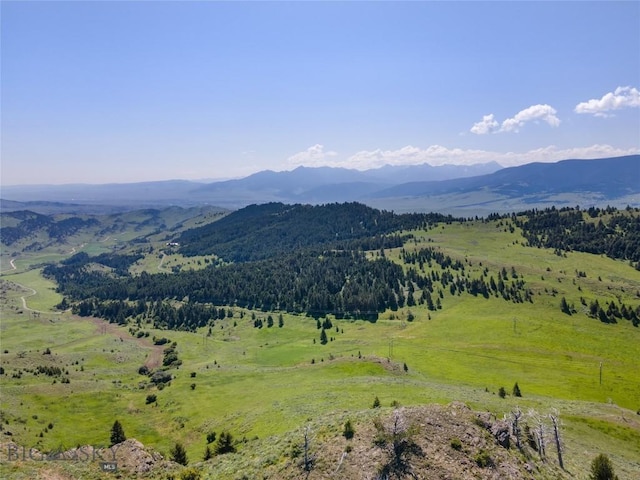 view of mountain feature featuring a rural view