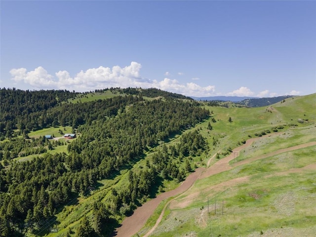 drone / aerial view featuring a rural view