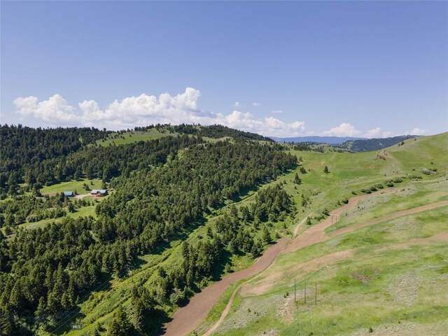 72 Sky Band Trl, Livingston, MT 59047 - mountain view featuring a forest