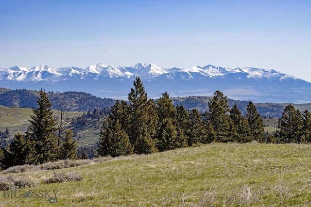 view of mountain feature