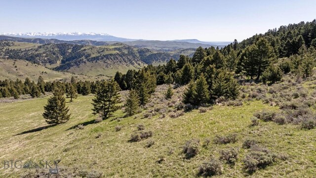 72 Sky Band Trl, Livingston, MT 59047 - view of mountain backdrop