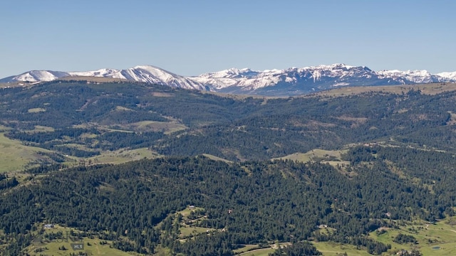 72 Sky Band Trl, Livingston, MT 59047 - view of mountain backdrop featuring a forest