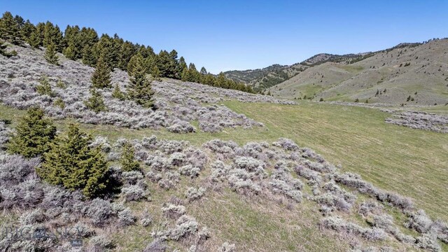 72 Sky Band Trl, Livingston, MT 59047 - mountain view