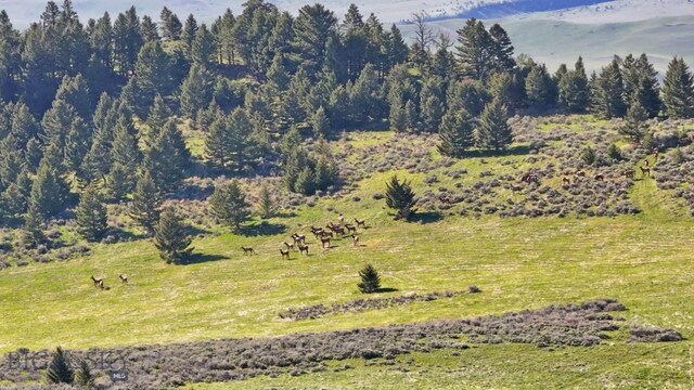 72 Sky Band Trl, Livingston, MT 59047 - bird's eye view