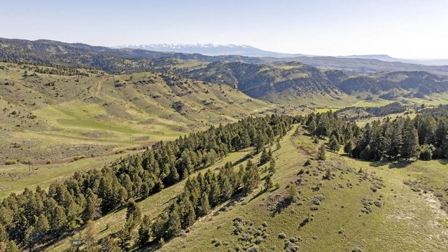 72 Sky Band Trl, Livingston, MT 59047 - mountain view