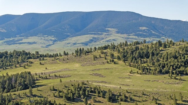 72 Sky Band Trl, Livingston, MT 59047 - mountain view