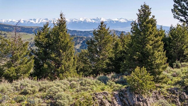 72 Sky Band Trl, Livingston, MT 59047 - mountain view featuring a forest