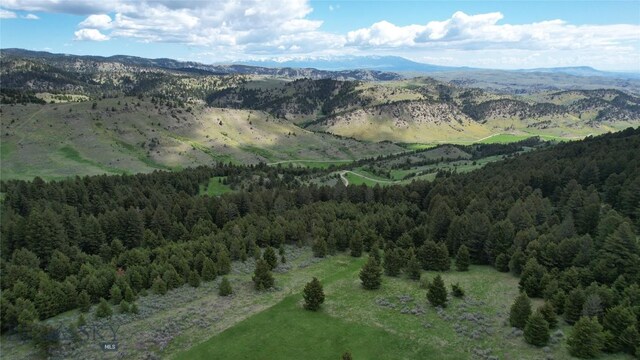 72 Sky Band Trl, Livingston, MT 59047 - view of mountain background with a heavily wooded area