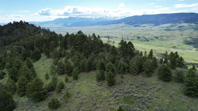 72 Sky Band Trl, Livingston, MT 59047 - view of mountain backdrop