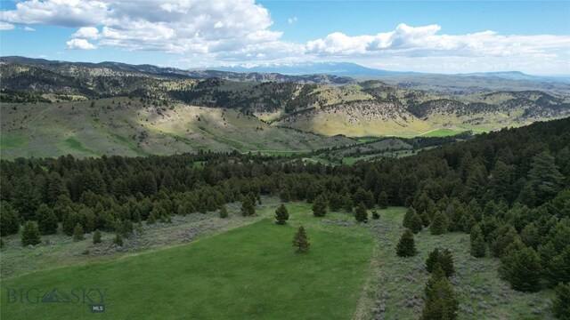 72 Sky Band Trl, Livingston, MT 59047 - view of mountain background with a forest