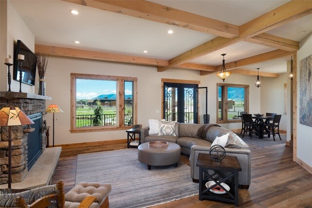 living room with a wealth of natural light, dark hardwood / wood-style flooring, and a fireplace