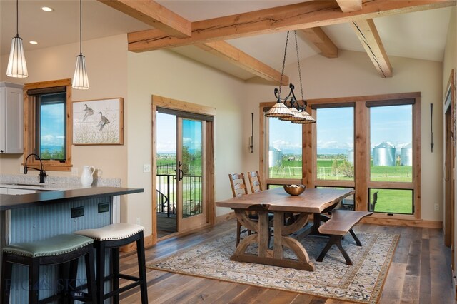 dining space featuring dark hardwood / wood-style floors, sink, and plenty of natural light