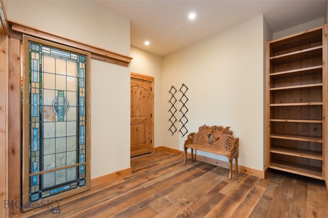 foyer with dark wood-type flooring