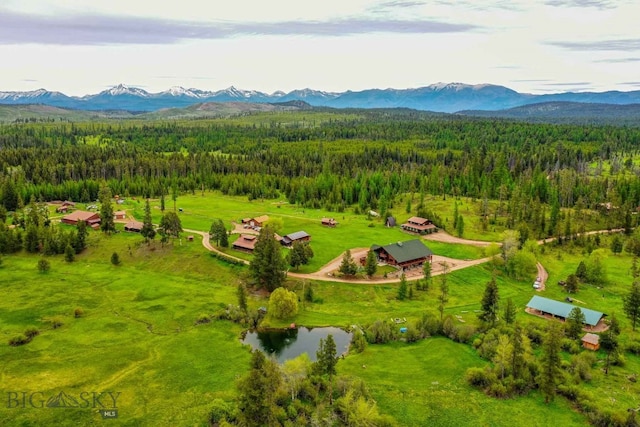 birds eye view of property with a mountain view