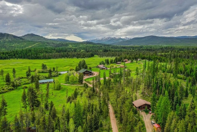 birds eye view of property featuring a mountain view