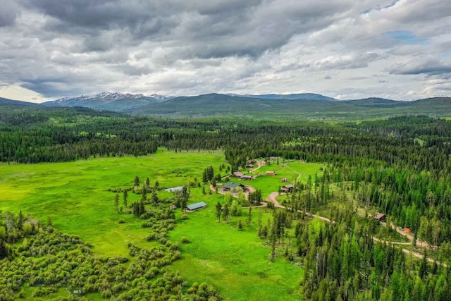 drone / aerial view with a mountain view