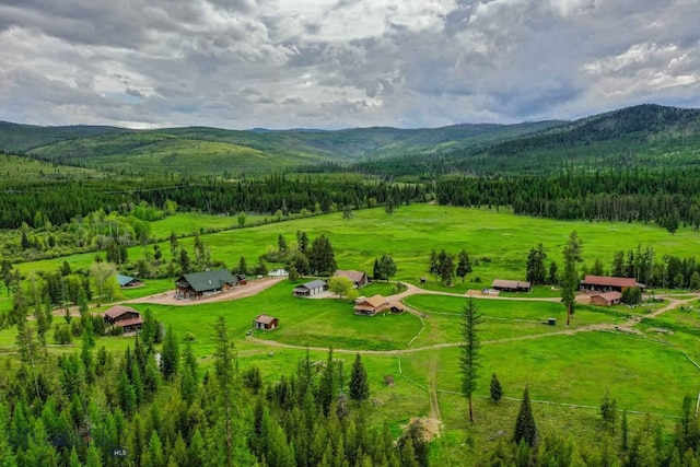 birds eye view of property with a mountain view and a rural view