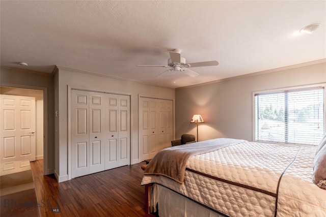 bedroom with multiple closets, dark hardwood / wood-style floors, ceiling fan, and crown molding