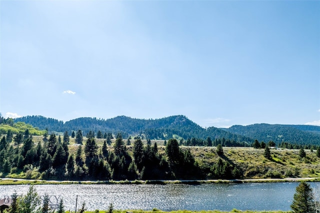 water view featuring a mountain view