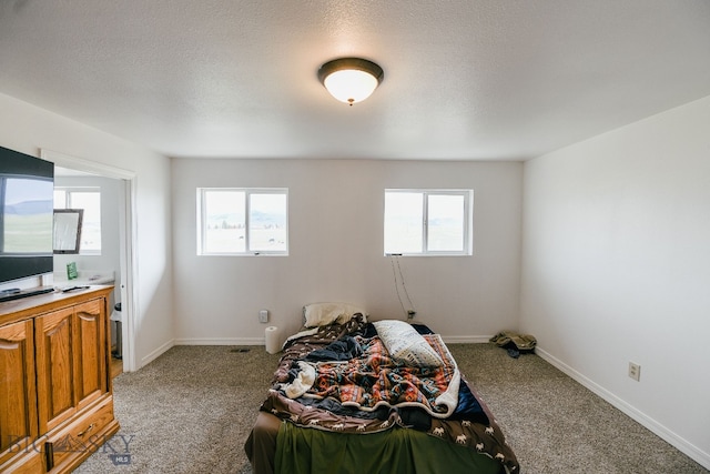 bedroom with multiple windows, carpet floors, and a textured ceiling