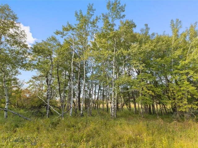 TBD Springhill Community Rd, Belgrade, MT 59714 - photo 44