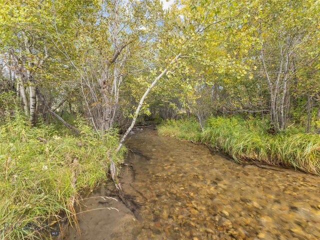 TBD Springhill Community Rd, Belgrade, MT 59714 - photo 53