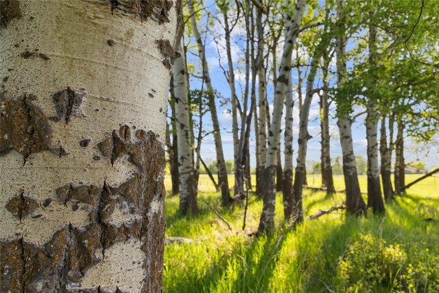 TBD Springhill Community Rd, Belgrade, MT 59714 - photo 84