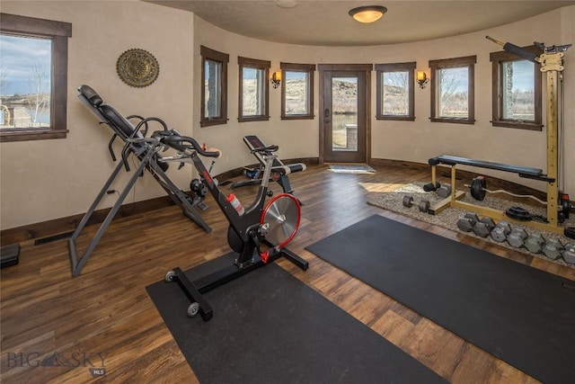 workout room featuring dark hardwood / wood-style floors